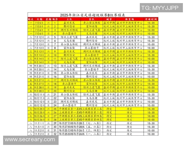 杭州足球队战术创新引领潮流助力球队排名新高